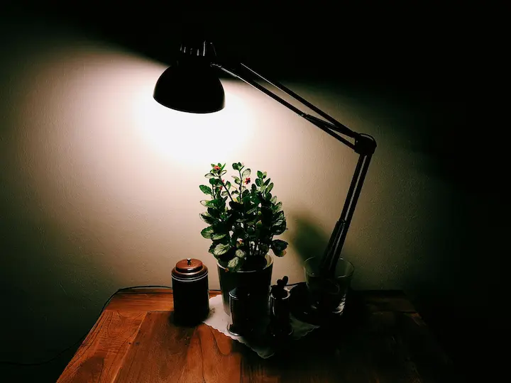 LED desk lamp lighting a workspace with plant décor.